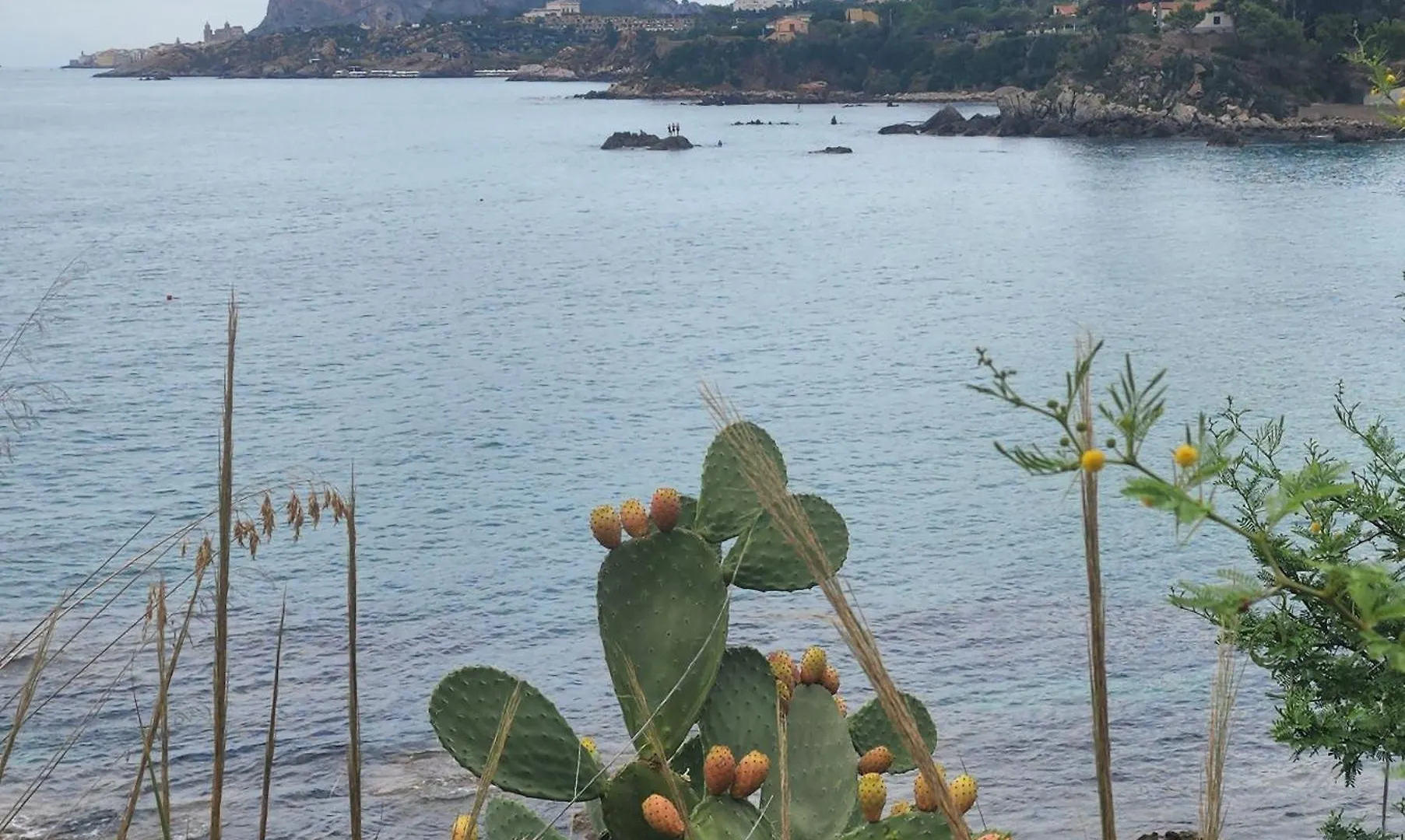 Le Casette Di Campagna #2 كامبوفيليتْشّي دي روتْشّي