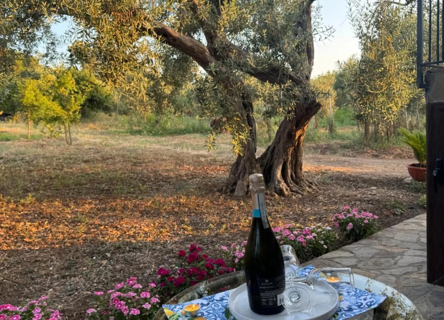 Le Casette Di Campagna #2 كامبوفيليتْشّي دي روتْشّي شقة